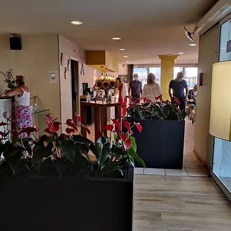 Hotel The Originals City, L'hippocampe, Sete 3*
